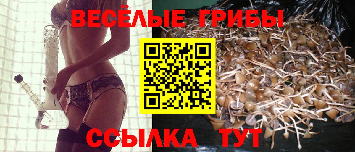Псилоцибиновые грибы мицелий  Вход с VPN  Дюртюли 